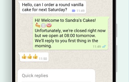 Screengrab of an example of WhatsApp Quick Replies feature