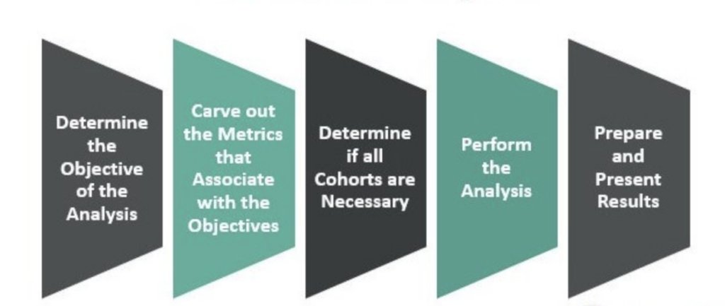 How to do a customer cohort analysis