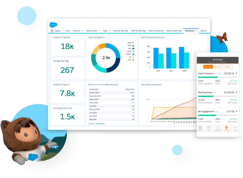 Salesforce Dashboard